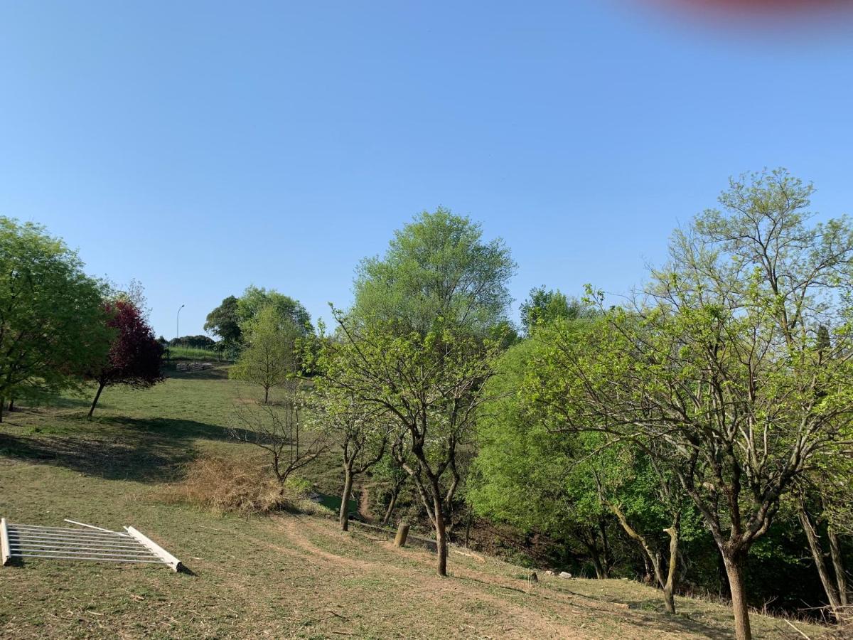Villa Isidoro Ampio Parco ,Piscina Privata, Arte E Giochi , Fitness Verona Exterior photo