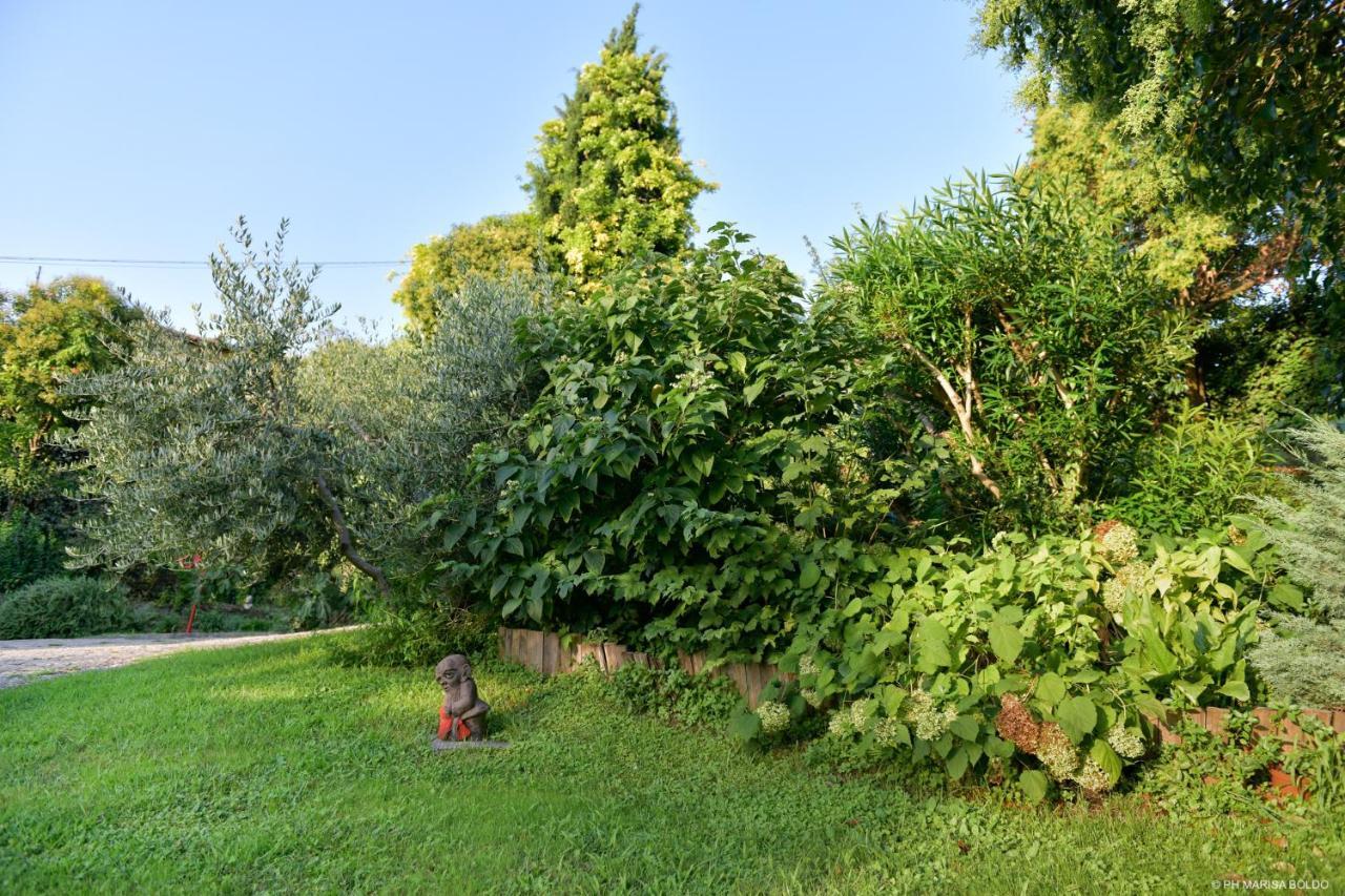 Villa Isidoro Ampio Parco ,Piscina Privata, Arte E Giochi , Fitness Verona Exterior photo